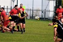 D6 Rugby Pontoise 21-10-31 0960   Photo ACG