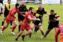 D6 Rugby Pontoise 21-10-31 1063   Photo ACG