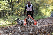 D6 Chiens traîneau 21-11-06 092   Photo ACG