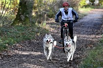 D6 Chiens traîneau 21-11-06 289   Photo ACG