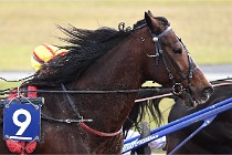 D6Mauquenchy 21-12-10 032   Photo ACG