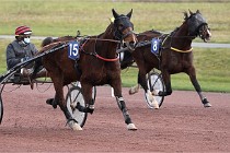 D6Mauquenchy 21-12-10 105   Photo ACG