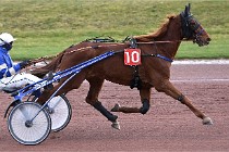 D6Mauquenchy 21-12-10 128   Photo ACG