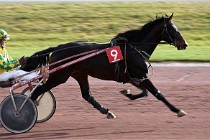 D6Mauquenchy 21-12-10 138   Photo ACG