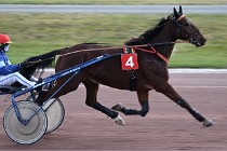 D6Mauquenchy 21-12-10 168   Photo ACG