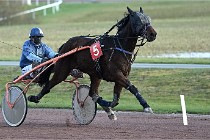 D6Mauquenchy 21-12-10 325   Photo ACG