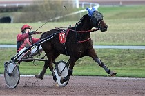 D6Mauquenchy 21-12-10 333   Photo ACG