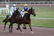 D6Mauquenchy 21-12-10 347   Photo ACG