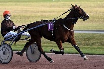 D6Mauquenchy 21-12-10 384   Photo ACG