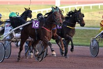 D6Mauquenchy 21-12-10 436   Photo ACG