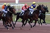 D6Mauquenchy 21-12-10 460   Photo ACG