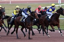 D6Mauquenchy 21-12-10 463   Photo ACG