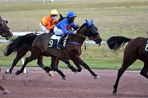 D6Mauquenchy 21-12-10 476   Photo ACG