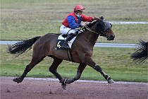 D6Mauquenchy 21-12-10 493   Photo ACG