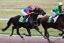 D6Mauquenchy 21-12-10 756   Photo ACG