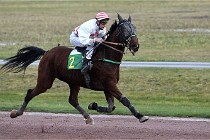 D6Mauquenchy 21-12-10 770   Photo ACG