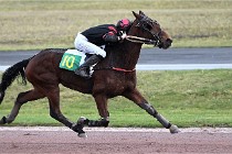 D6Mauquenchy 21-12-10 785   Photo ACG