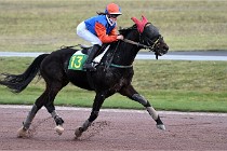 D6Mauquenchy 21-12-10 799   Photo ACG