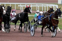 D6Mauquenchy 21-12-10 853   Photo ACG