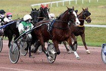 D6Mauquenchy 21-12-10 869   Photo ACG