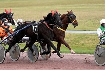 D6Mauquenchy 21-12-10 911   Photo ACG