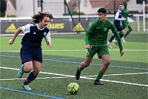 D6 Foot 21-12-12 250   Photo ACG