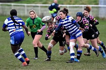 D6 Rugby féminin 22-01-23 0815  Photo ACG