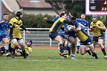 D6 Rugby Domont 22-01-23 322  Photo ACG