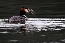 2022-03-01 La Vallière