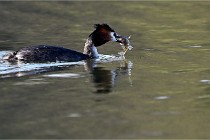 2022-03-07 LaVallière