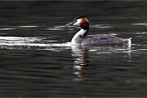 Z9 Valliere 22-03-16 568  Photo A CG