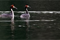 2022-03-16 LaVallière