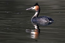 Z9 Valliere 22-03-23 018  Photo A CG