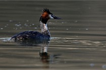 Z9 Valliere 22-03-23 024  Photo A CG