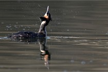 Z9 Valliere 22-03-23 026  Photo A CG