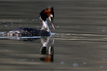 Z9 Valliere 22-03-23 027  Photo A CG