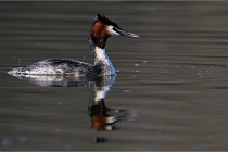 Z9 Valliere 22-03-23 030  Photo A CG