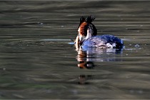 Z9 Valliere 22-03-23 037  Photo A CG