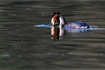 Z9 Valliere 22-03-23 038  Photo A CG