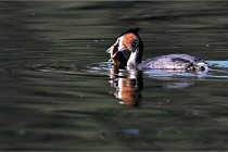 Z9 Valliere 22-03-23 039  Photo A CG