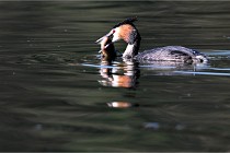 Z9 Valliere 22-03-23 040  Photo A CG