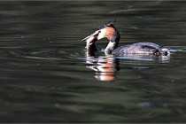 Z9 Valliere 22-03-23 041  Photo A CG