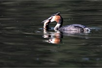 Z9 Valliere 22-03-23 042  Photo A CG