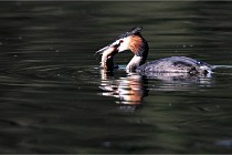 Z9 Valliere 22-03-23 043  Photo A CG