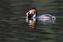 Z9 Valliere 22-03-23 044  Photo A CG