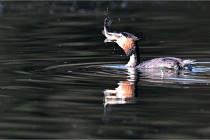 Z9 Valliere 22-03-23 046  Photo A CG