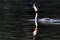 Z9 Valliere 22-03-23 047  Photo A CG