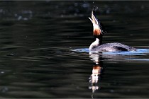 Z9 Valliere 22-03-23 048  Photo A CG