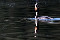 Z9 Valliere 22-03-23 049  Photo A CG