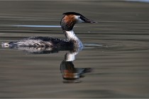 Z9 Valliere 22-03-23 053  Photo A CG